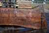Oregon Black Walnut Slab 031325-03