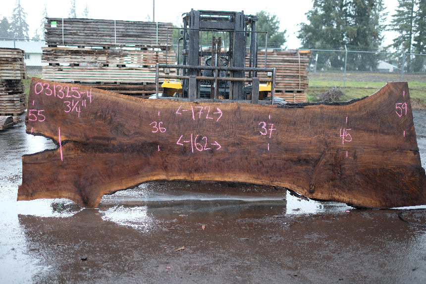 Oregon Black Walnut Slab 031325-04