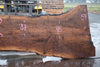 Oregon Black Walnut Slab 031325-04