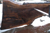 Oregon Black Walnut Slab 031325-05