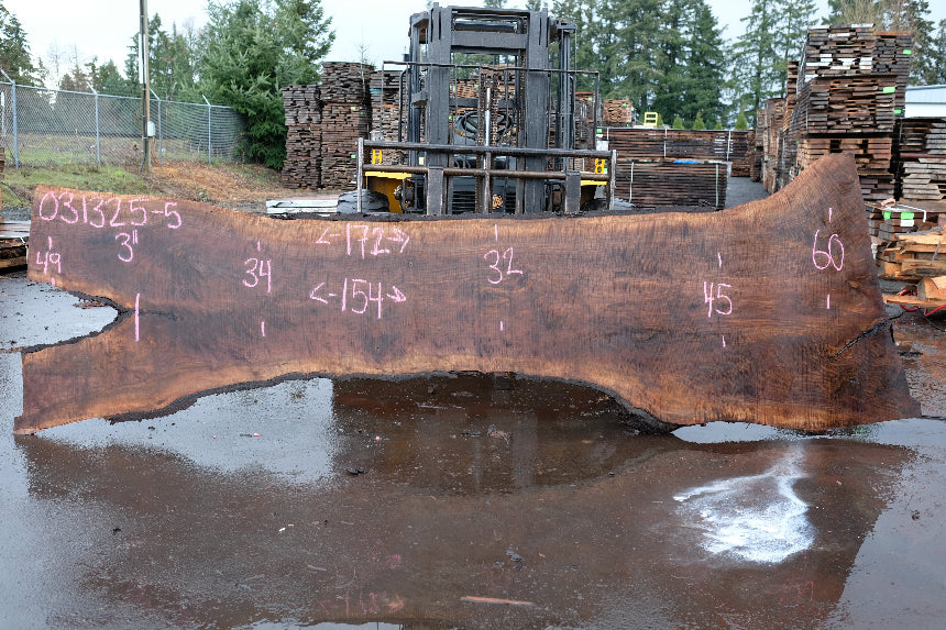 Oregon Black Walnut Slab 031325-05