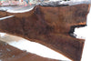 Oregon Black Walnut Slab 031325-06