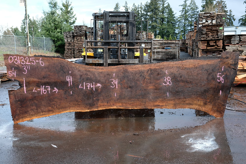 Oregon Black Walnut Slab 031325-06