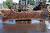 Oregon Black Walnut Slab 031325-07