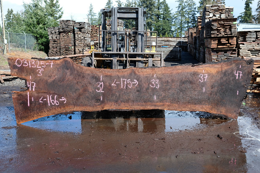 Oregon Black Walnut Slab 031325-07