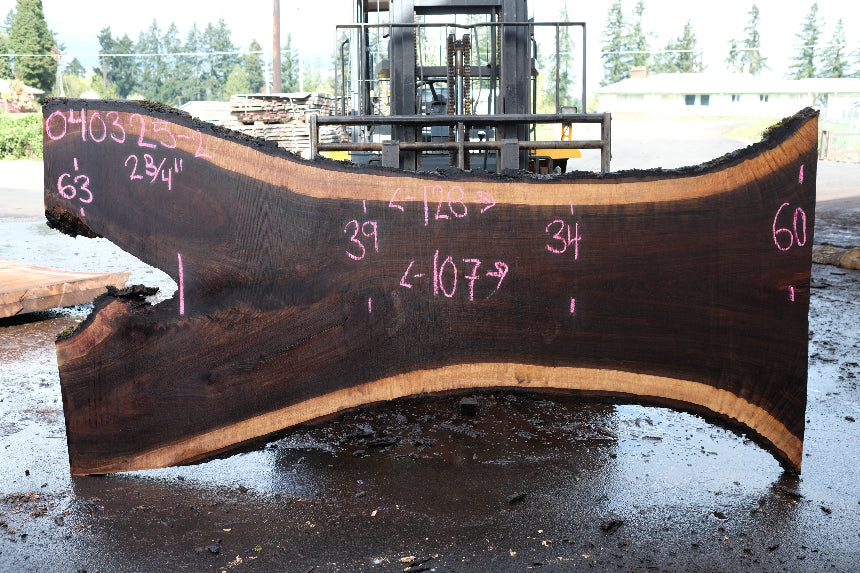 Oregon Black Walnut Slab 040325-02