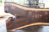 Oregon Black Walnut Slab 040325-02