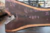 Oregon Black Walnut Slab 040325-03