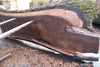 Oregon Black Walnut Slab 040325-05