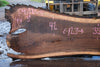 Oregon Black Walnut Slab 040325-05