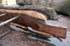 Oregon Black Walnut Slab 040325-06
