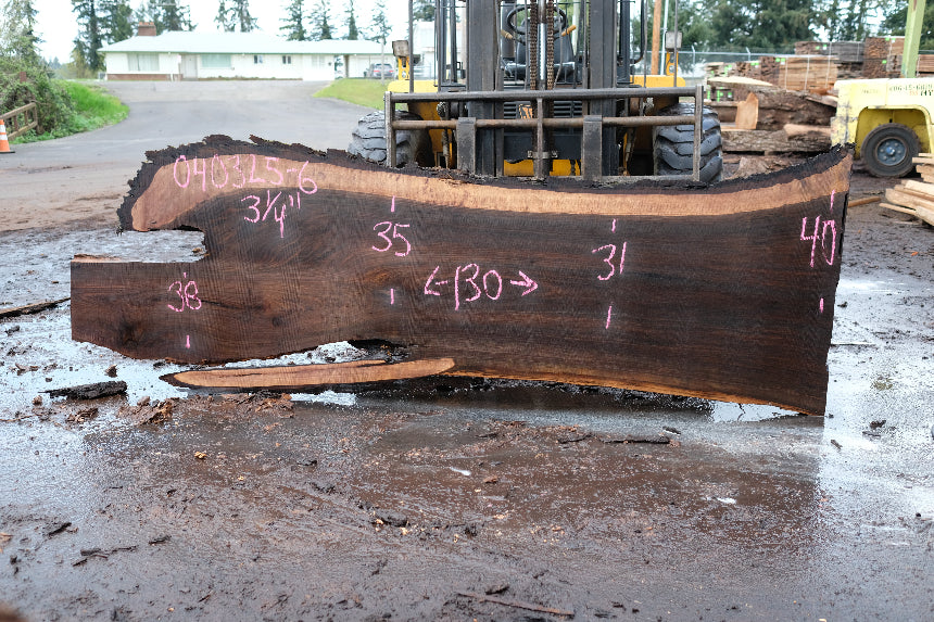 Oregon Black Walnut Slab 040325-06