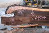 Oregon Black Walnut Slab 040325-06