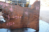 Oregon Black Walnut Slab 041025-10