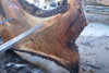 Oregon Black Walnut Slab 041025-11