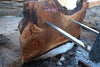 Oregon Black Walnut Slab 041025-11