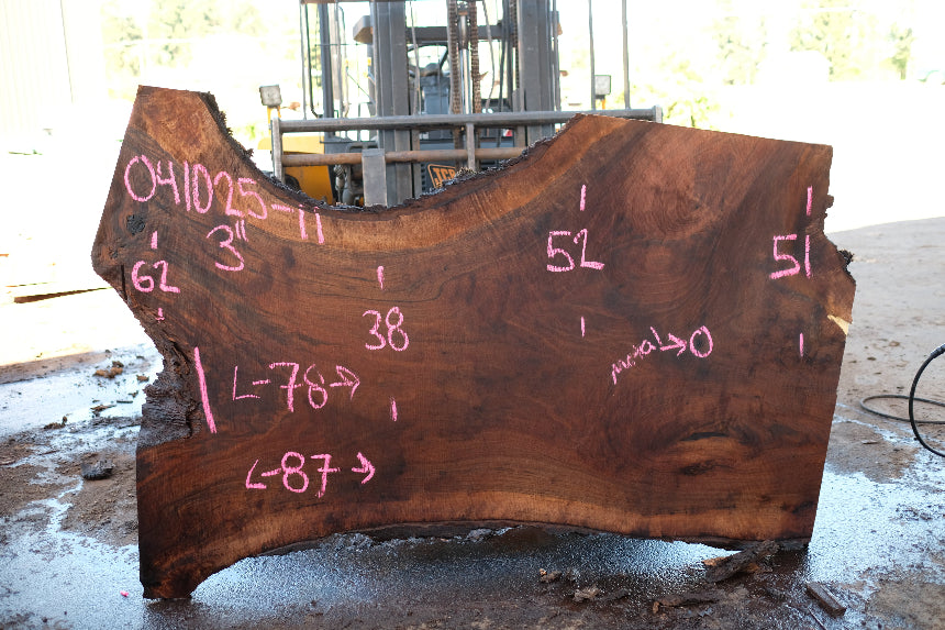 Oregon Black Walnut Slab 041025-11