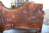 Oregon Black Walnut Slab 041025-11