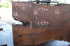 Oregon Black Walnut Slab 041025-02