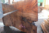 Oregon Black Walnut Slab 041025-03