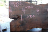 Oregon Black Walnut Slab 041025-03