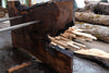 Oregon Black Walnut Slab 041025-04