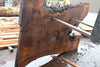 Oregon Black Walnut Slab 041025-04
