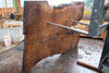 Oregon Black Walnut Slab 041025-06