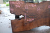 Oregon Black Walnut Slab 041025-06