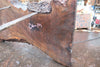 Oregon Black Walnut Slab 041025-07