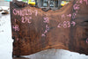 Oregon Black Walnut Slab 041025-07