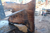 Oregon Black Walnut Slab 041025-09