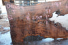 Oregon Black Walnut Slab 041025-09