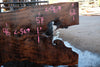Oregon Black Walnut Slab 041025-09
