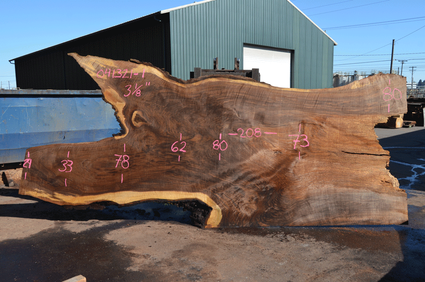 Oregon Black Walnut Slab 041321-01 Sauvie