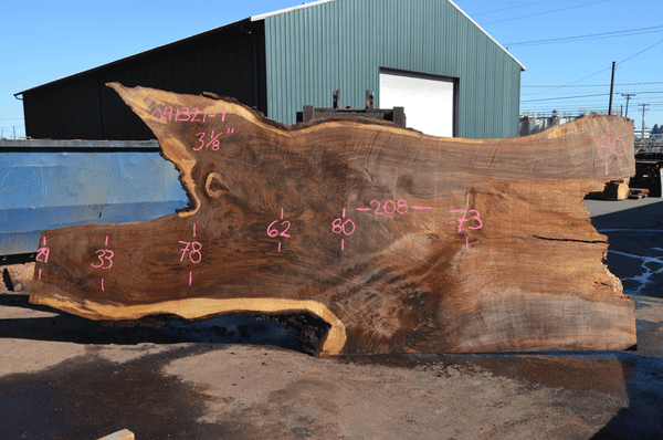 Oregon Black Walnut Slab 041321-01 Sauvie