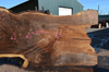 Oregon Black Walnut Slab 041321-01 Sauvie