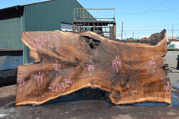 Oregon Black Walnut Slab 041321-05 Sauvie