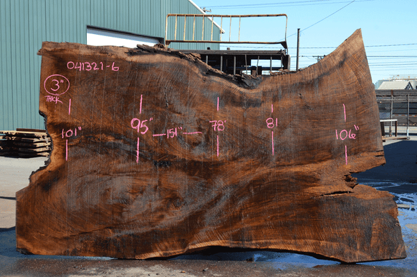 Oregon Black Walnut Slab 041321-06 Sauvie