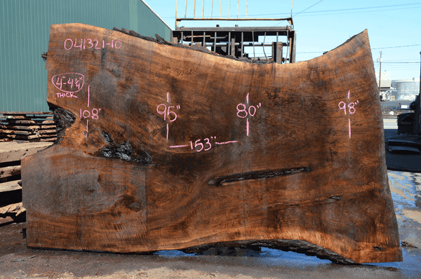 Oregon Black Walnut Slab 041321-10 Sauvie