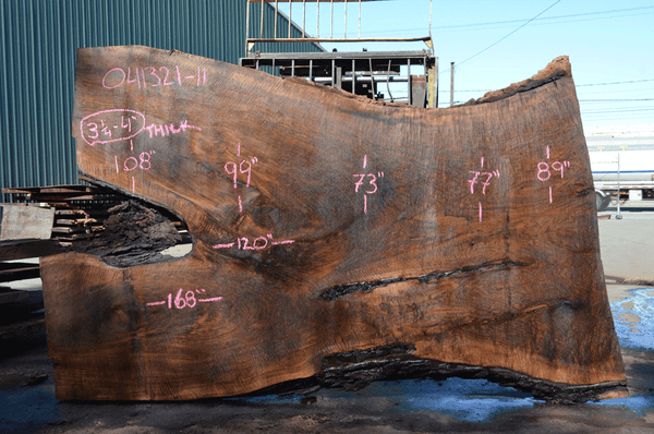 Oregon Black Walnut Slab 041321-11 Sauvie