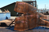 Oregon Black Walnut Slab 041321-12 Sauvie