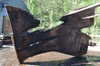 Oregon Black Walnut Slab 041321-12 Sauvie