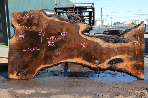 Oregon Black Walnut Slab 041321-13 Sauvie