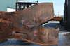 Oregon Black Walnut Slab 041321-15 Sauvie