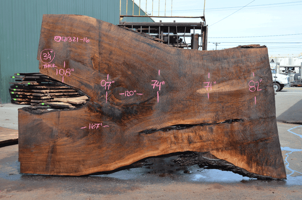 Oregon Black Walnut Slab 041321-16 Sauvie