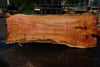 Silver Maple Slab 041725-10