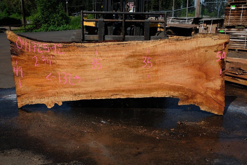 Silver Maple Slab 041725-12