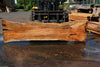 Silver Maple Slab 041725-13