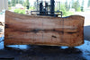 Silver Maple Slab 041725-01